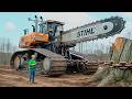 Nothing Left Behind | Raw Forestry Cutting &amp; Stump Removal