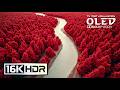 Massive 16K OLED in ULTRA DETAILS | Dolby Vision HDR TEST 120fps (8K/4K Video TV)