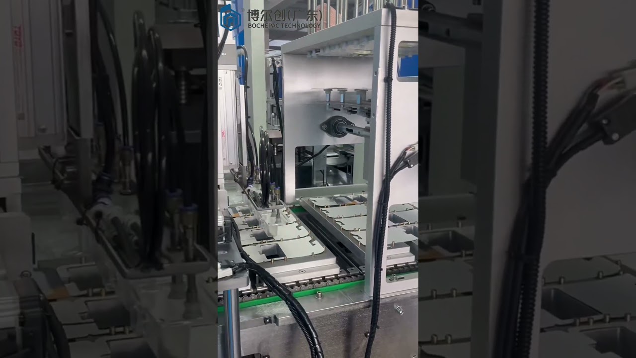 Amazing Automatic Molded Pulp Packaging Machine in Action!