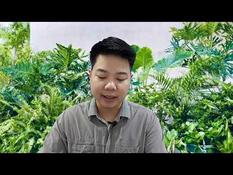 Video: Cách đối Xử Với Vợ Cũ Của Chồng