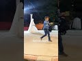 Турецкий свадьба
