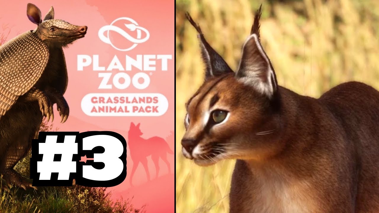Permits and Pampas! Gold Star!!! Planet Zoo Grasslands Pack DLC - Part 3!