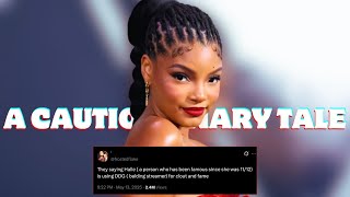 The Halle Bailey and DDG Saga was Avoidable.
