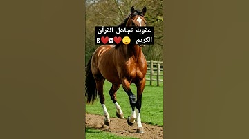 القرآن الكريم كلام الله تعالى احترم القرآن