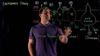 Details Chemiosmotic Theory Update