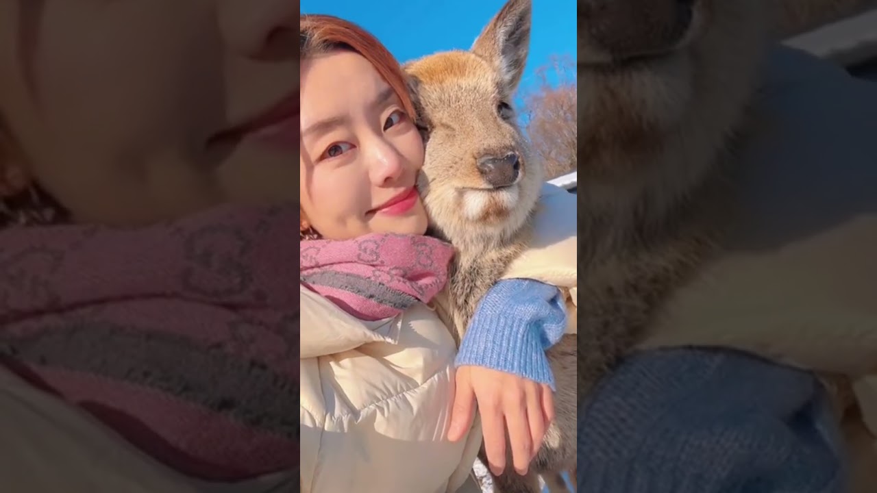 Косуля на высоких каблуках 