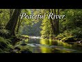 Calm Flowing River 🌿 Peaceful Natural Ambience for Meditation and Deep Sleep #721