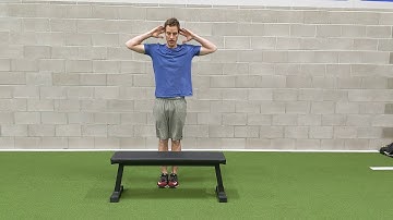 Hurdle Step Test