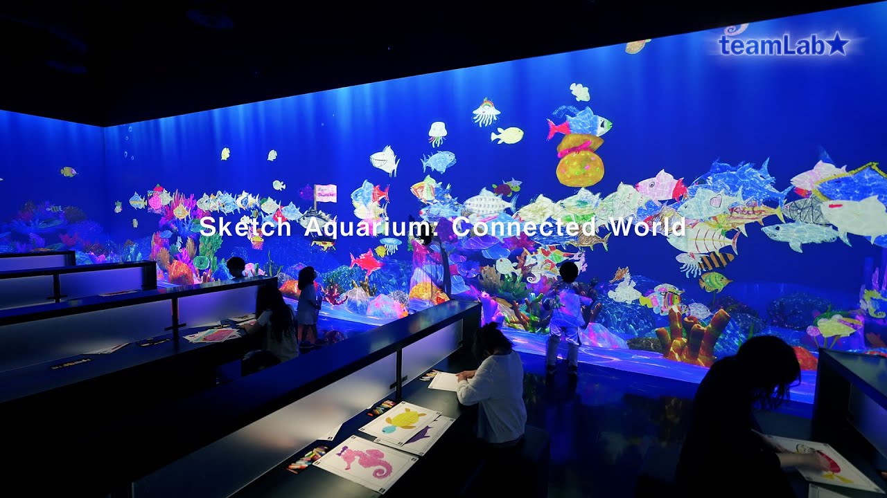Sketch Aquarium Connected World YouTube