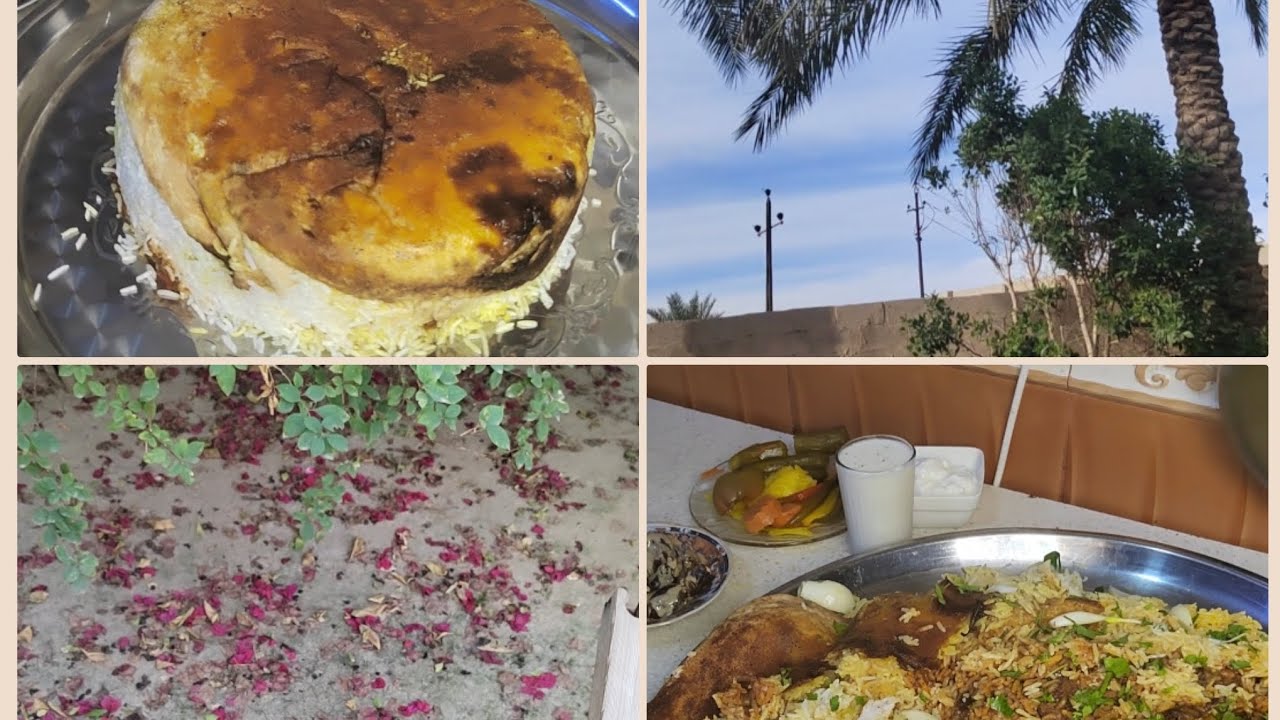 مقلوبه سمك🐟 زعلانه علي🤔 نظفنا الحديقه🌴🌿 طلعت كلش طيبه😋👌👍