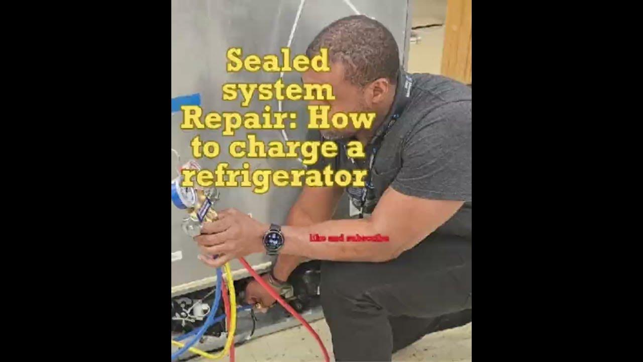 How to charge a refrigerator sealed system. YouTube