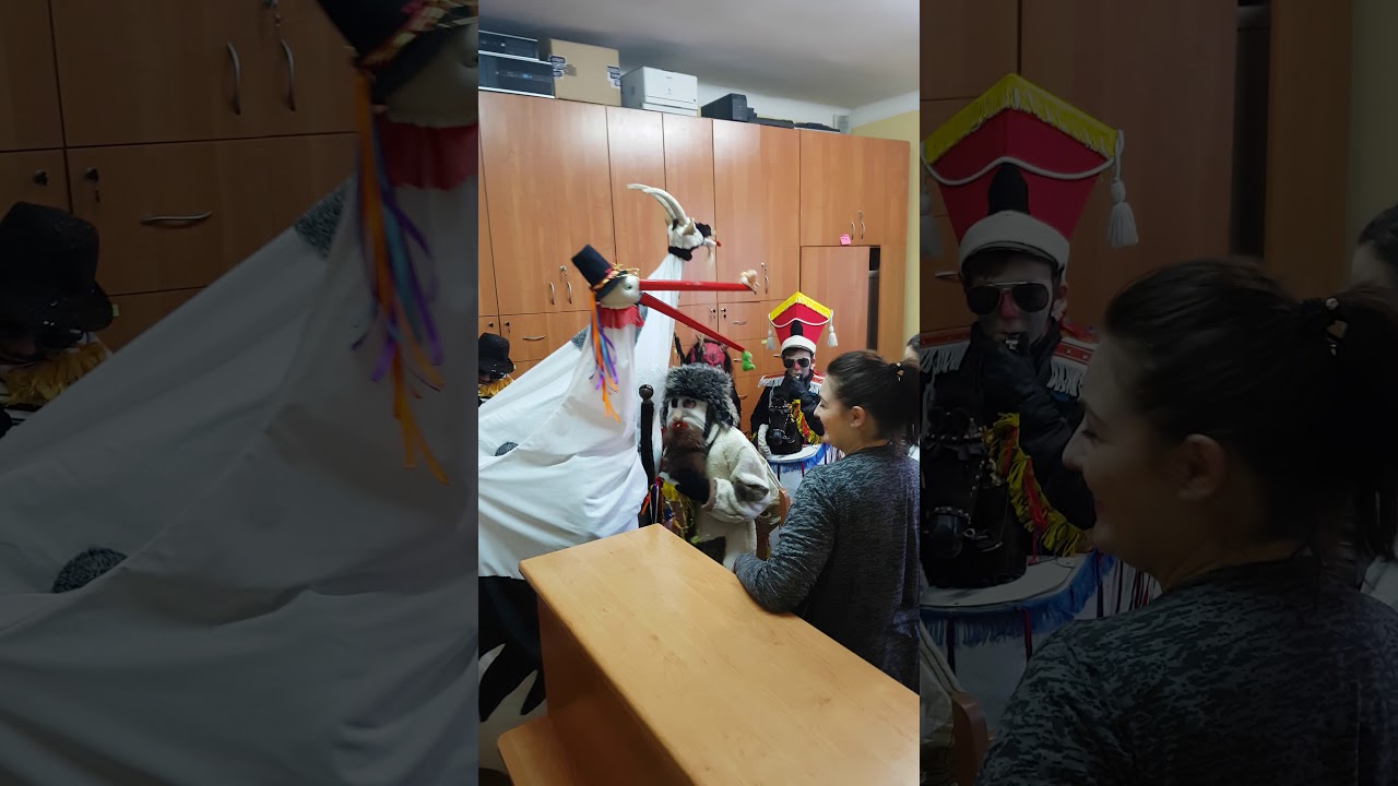 Mała koza Lubraniec