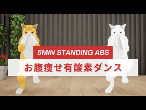 WorkoutTimer 9 立ったまま!お腹痩せ有酸素ダンス😸