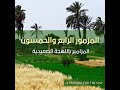 الكتاب المقدس المسموع سفر المزامير مزمور ٥٤ كلمات بالموسيقى اللهجة الصعيدية الكتاب المقدس المسموع سفر المزامير مزمور ٥٤ كلمات بالموسيقى اللهجة الصعيدية