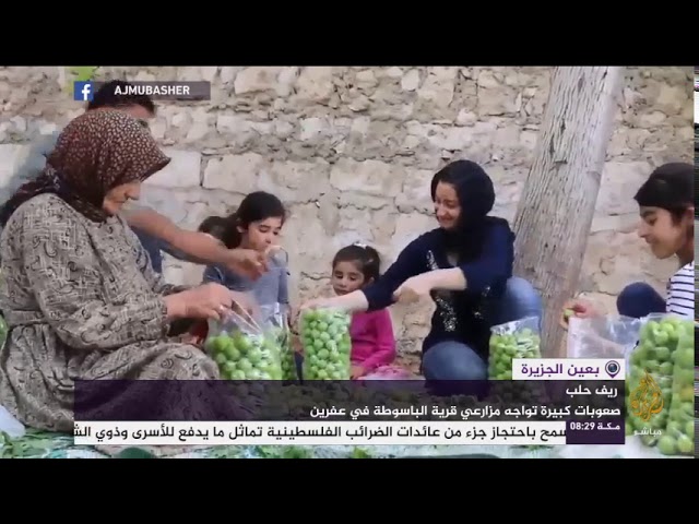 صعوبات كبيرة تواجه مزارعي قرية الباسوطة في عفرين بريف حلب