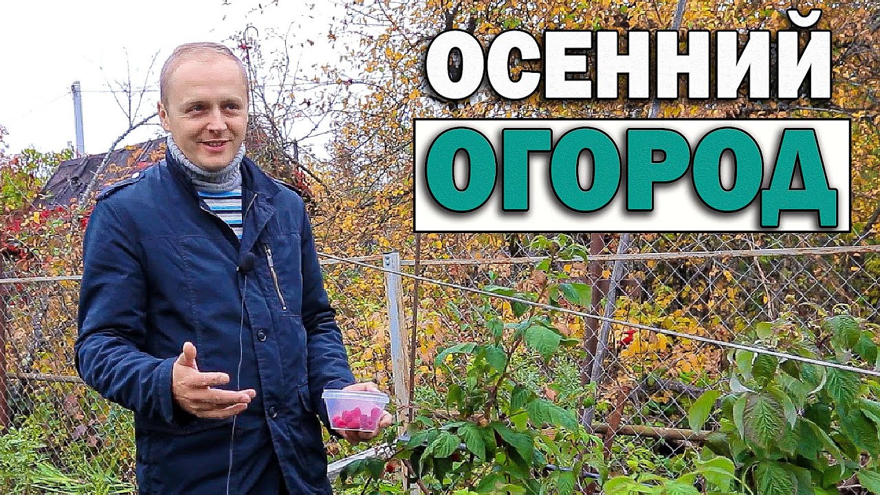 Ремонт на даче и собираю малину. - YouTube