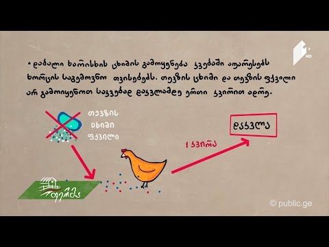 ფერმერის სარჩევი:  როგორ ვაწარმოოთ ფრინველის ხარისხიანი ხორცი