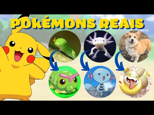 Conheça 10 Pokémons inspirados em seres da vida real