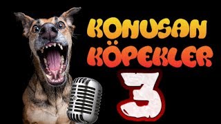 Konuşan Köpekler 3 - En Komik Köpek Videoları