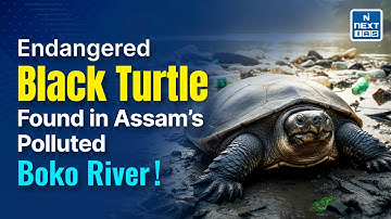 Rare Turtle Rescued Amid Assam’s Boko River Pollution Crisis | NEXT IAS
