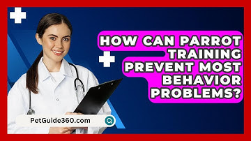 How Can Parrot Training Prevent Most Behavior Problems? - PetGuide360.com