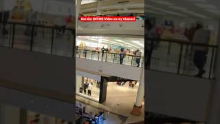 Apple Store Robber Jumps Over 2nd Floor Railing at #willowpark #mall