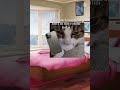 Funny edit