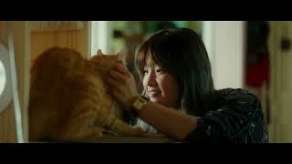 猫×パク・ソダムの癒しのモーニングルーティーン『パーフェクト・ドライバー／成功確率100％の女』本編映像