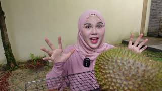 Zukie & Farah Bakar Durian , apa rasa dia ???