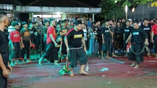 TURONGGO SINGO JOYO x KI AGENG SURO JOYO‼️full Kalapan Kuda Lumping Campursari live Jenggolo 