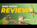 Bird room review 2023