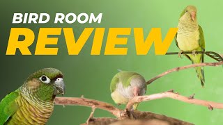 Bird Room Review 2023