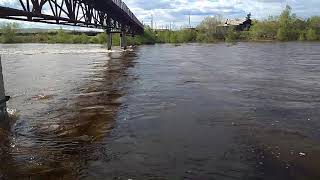 Дополнение  к предыдущему видео &quot;Наводнение Забайкальский край п. Чернышевск&quot;