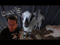 Day 5 - Self Quarantine - Family Food and Baby goat Fun