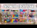 Organized fidget collection tour highly satisfying