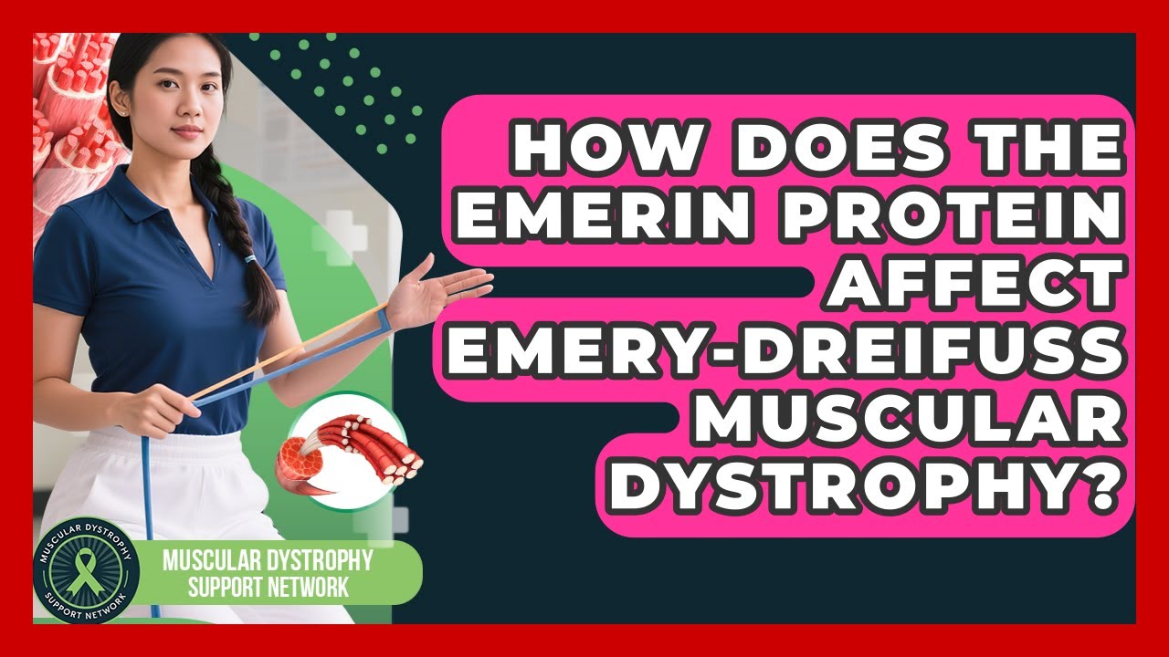 How Does The Emerin Protein Affect Emery-Dreifuss Muscular Dystrophy?