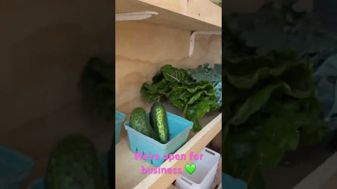 Step Inside Our 'The Giddy Up Farm Stand' - Prepare to Be Amazed!