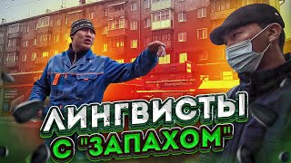 СтопХам - Лингвисты с "запахом"