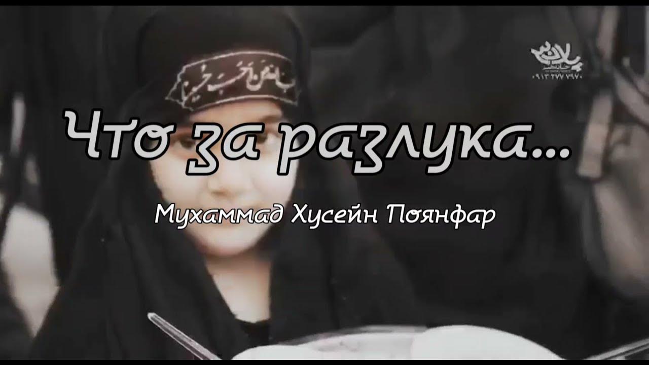 мишари аль афаси. мухаммад аль мукит. мухаммад хусейн нашиды. нашид мухаммад. рашид аль афаси.