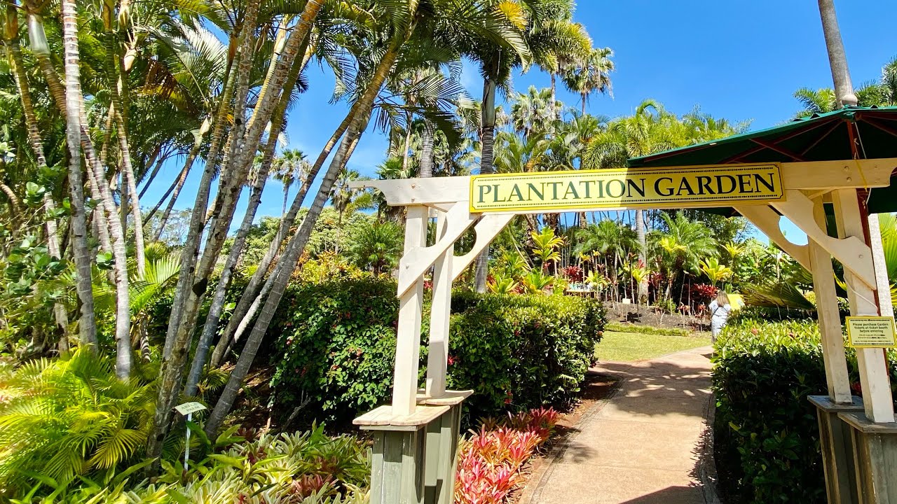 dole plantation garden tour