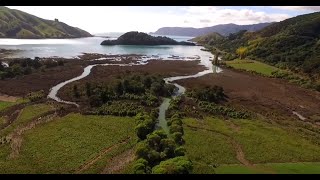 Nelson Nature : Paremata Flats Restoration