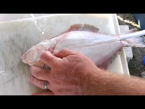 Video: Cara Mengeringkan Flounder