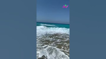سورة الضحى .علي الحذيفي ..