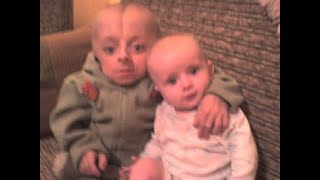 Mikro Cypek Kłótnia Ze Starym