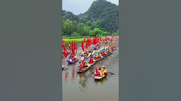 Ninh Bình hút khách bằng tranh vẽ trên cánh đồng lúa Tam Cốc #dulich #travel #ninhbình