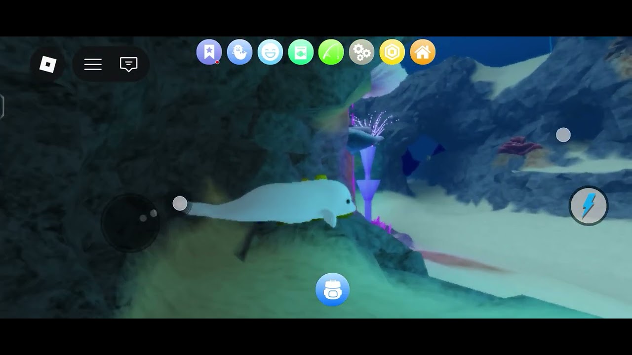 เริ่มต้นชีวิตไปแมวน้ำGo!