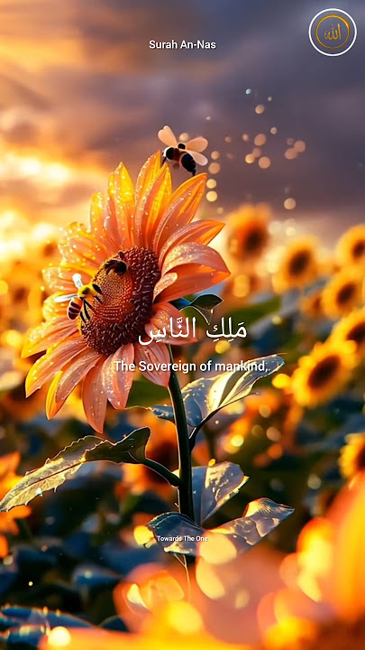 Surah An-Nas | Beautiful Quran Recitation#quran#surah#shorts