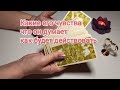 Его Чувства, Действия и  Мысли к вам