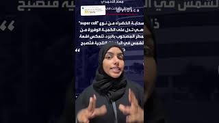 أمطار الإمارات والمنخفض الجوي و السحابة الخضراء في السماء امطار دبي الامارات ابوظبي والسحابه الخضرا