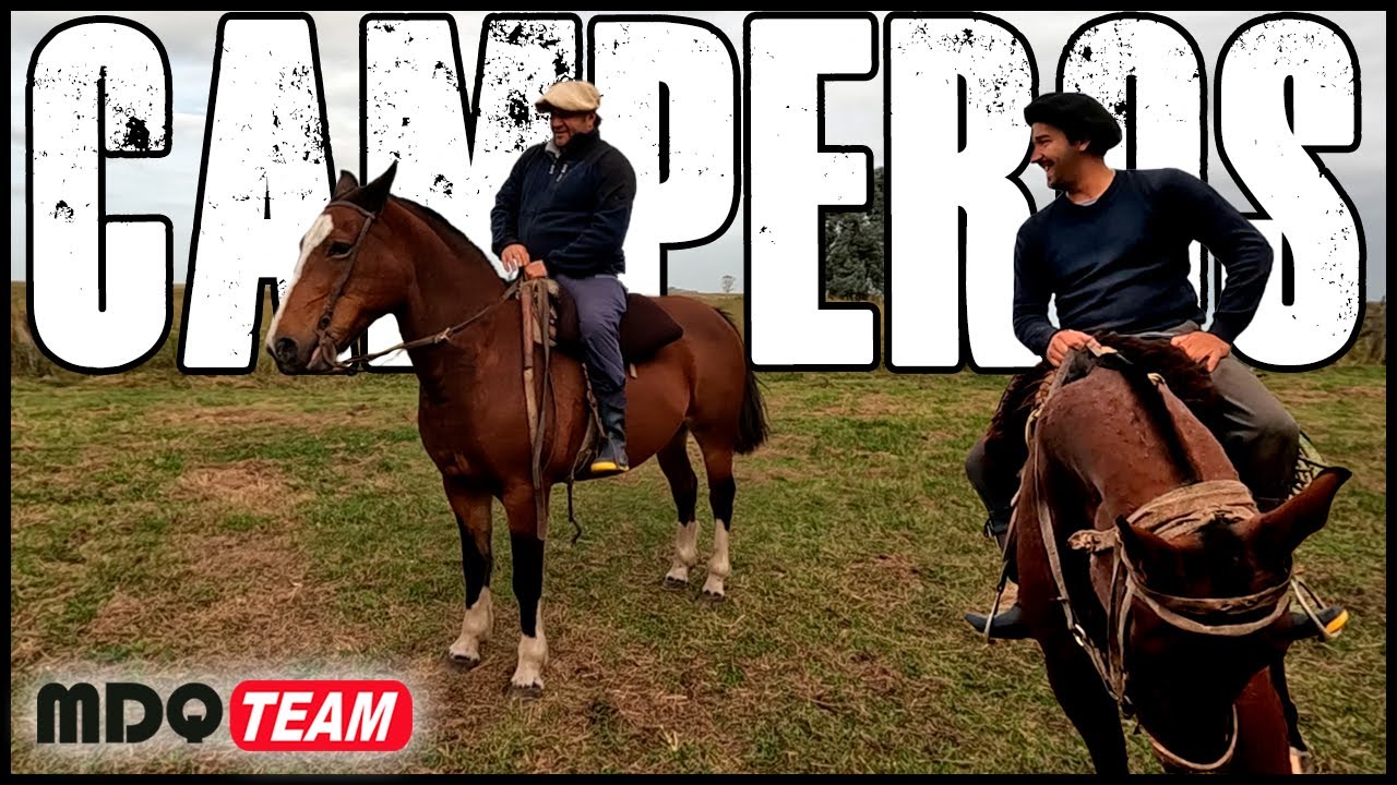 TRABAJOS CAMPEROS CON ANIMALES